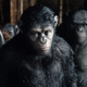 Image for article titled Planet Of The Apes Director Reveals What's Next For The Apes